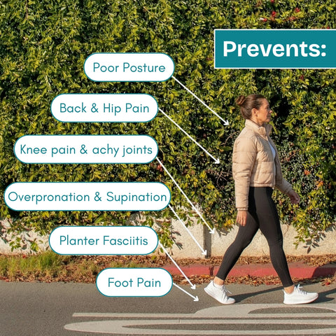 ComfySole New Version